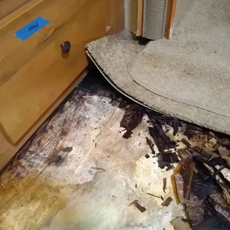 Best Wood Floor Water Damage Service in Belleville, NJ